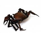 Old Japanese Bronze Articulated Crab Sg