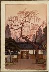 Old Japanese Woodblock Print Yoshida Cheing Blossoms